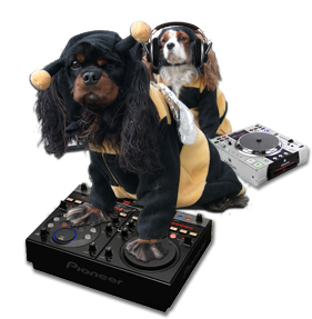 sonny & cher DeeJay team